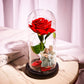 Custom Photo Text Led Night Light Glass Cover Eternal Red Rose Flower Home Desktop Decoration